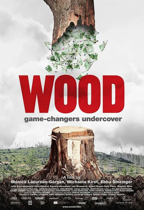Обложка (Постер) Лес. Кто меняет правила? / Wood (2020) HDRip