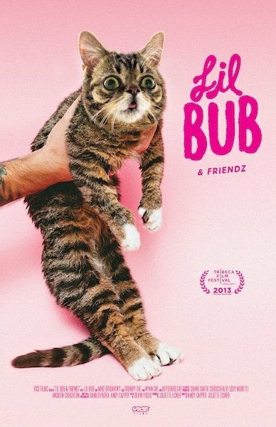 Обложка (Постер) Лил Буб и друзья / Lil Bub & Friendz (2013) HDRip Обложка (Постер) Лил Буб и друзья / Lil Bub & Friendz (2013) HDRip