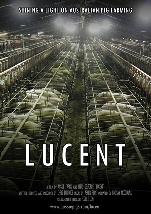 Обложка (Постер) Lucent (2014) HDRip Обложка (Постер) Lucent (2014) HDRip