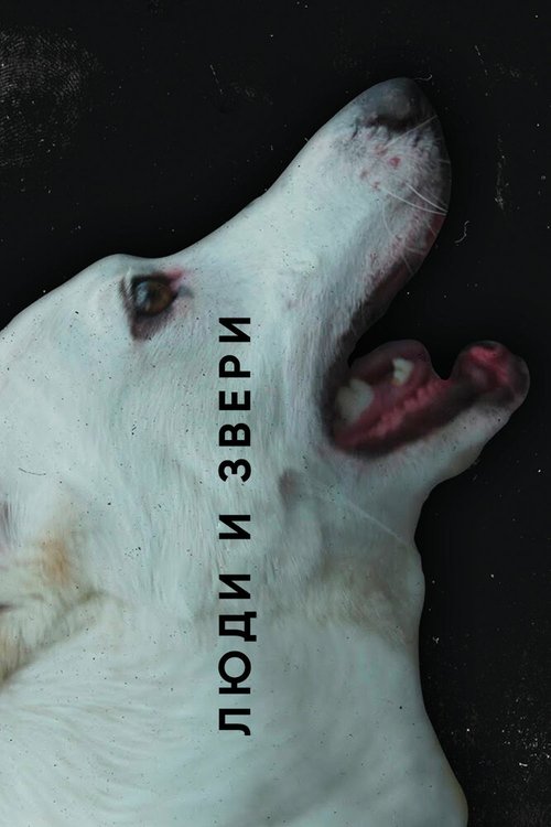 Обложка (Постер) Люди и звери (2020) 