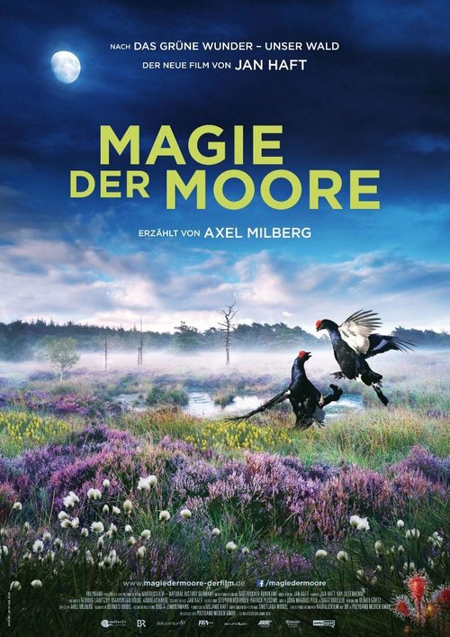 Обложка (Постер) Магия болот / Magie der Moore (2015) HDRip Обложка (Постер) Магия болот / Magie der Moore (2015) HDRip