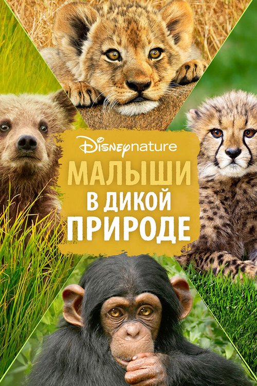 Обложка (Постер) Малыши в дикой природе / Growing Up Wild (2016) CAMRip Обложка (Постер) Малыши в дикой природе / Growing Up Wild (2016) CAMRip