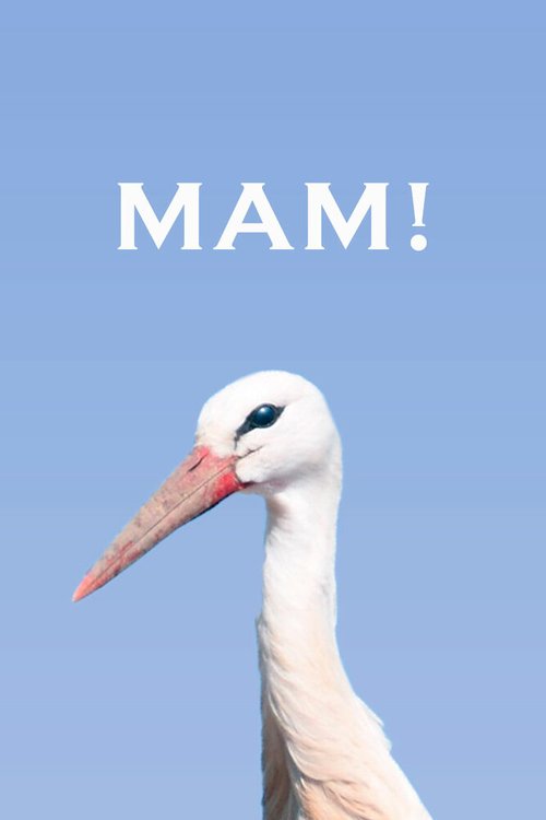 Обложка (Постер) Мам! (2020) 