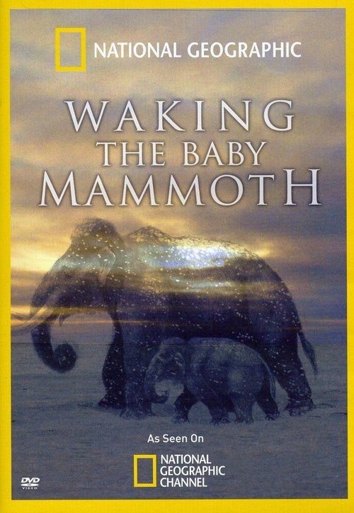 Обложка (Постер) Мамонтёнок: Застывший во времени / Waking the Baby Mammoth (2009) HDRip Обложка (Постер) Мамонтёнок: Застывший во времени / Waking the Baby Mammoth (2009) HDRip