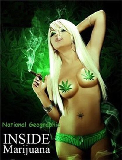 Обложка (Постер) Marijuana Inc: Inside America's Pot Industry (2009) HDRip