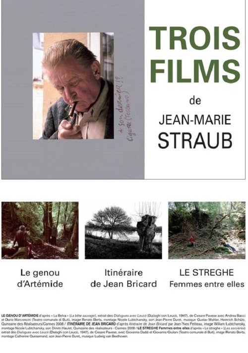 Обложка (Постер) Маршрут Жана Брикара / Itinéraire de Jean Bricard (2008) HDRip Обложка (Постер) Маршрут Жана Брикара / Itinéraire de Jean Bricard (2008) HDRip