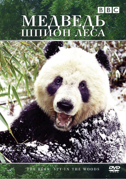 Обложка (Постер) Медведь: Шпион леса / Bears: Spy in the Woods (2004) HDRip