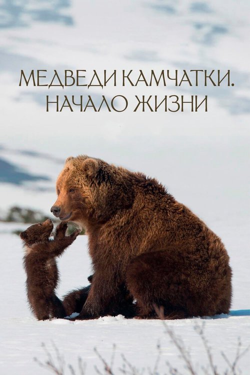 Обложка (Постер) Медведи Камчатки. Начало жизни (2018) HDRip