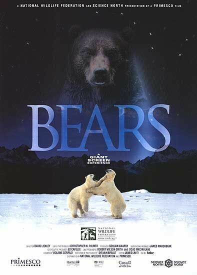 Обложка (Постер) Медведи / Bears (2004) HDRip Обложка (Постер) Медведи / Bears (2004) HDRip