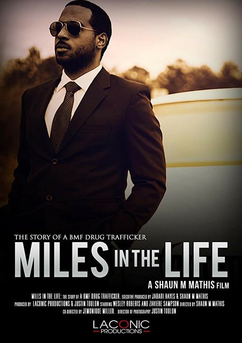 Обложка (Постер) Miles in the Life (2017) HDRip