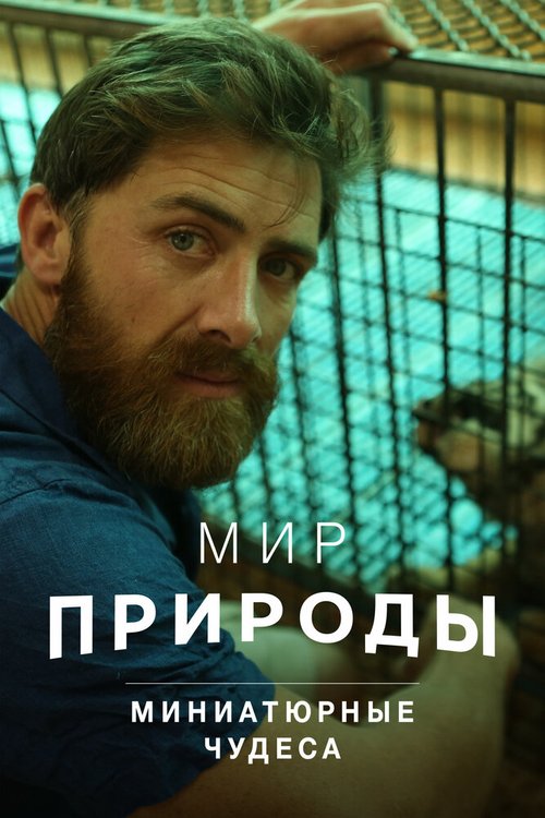 Обложка (Постер) Мир природы. Миниатюрные чудеса / Nature's Miniature Miracles (2017) Обложка (Постер) Мир природы. Миниатюрные чудеса / Nature's Miniature Miracles (2017)
