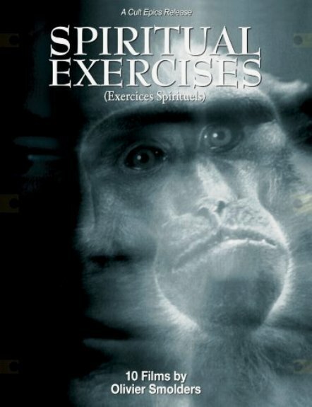 Обложка (Постер) Мысли и видения отрубленной головы / Pensées et visions d'une tête coupée (1991) HDRip