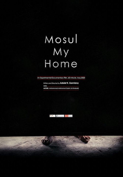 Обложка (Постер) Мой дом Мосул / Mosul My Home (2020) HDRip