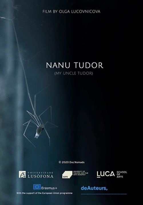Обложка (Постер) Мой дядя Тюдор / Nanu Tudor (2021) HDRip