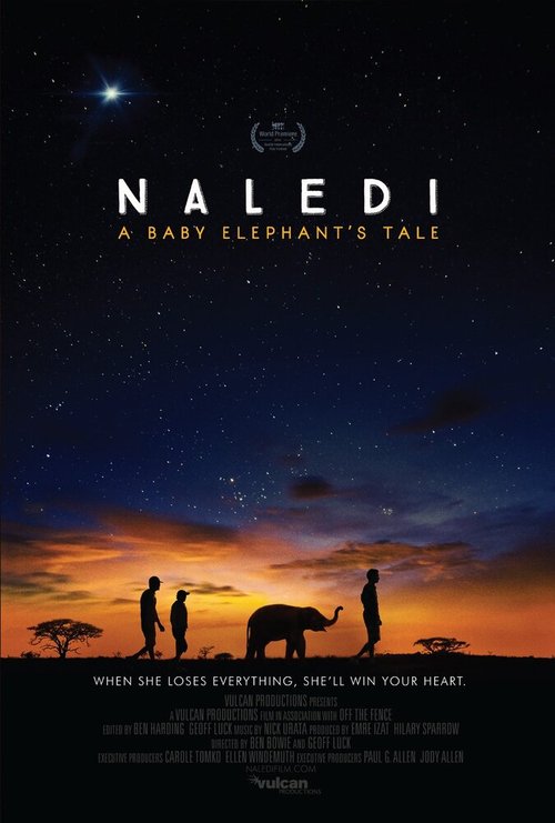 Обложка (Постер) Naledi: A Baby Elephant's Tale (2016) CAMRip Обложка (Постер) Naledi: A Baby Elephant's Tale (2016) CAMRip