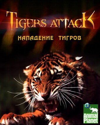Обложка (Постер) Нападение тигров / Tigers Attack (2007) HDRip Обложка (Постер) Нападение тигров / Tigers Attack (2007) HDRip