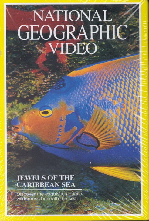 Обложка (Постер) National Geographic: Жемчужины Карибского моря / Jewels of the Caribbean Sea (1994) HDRip