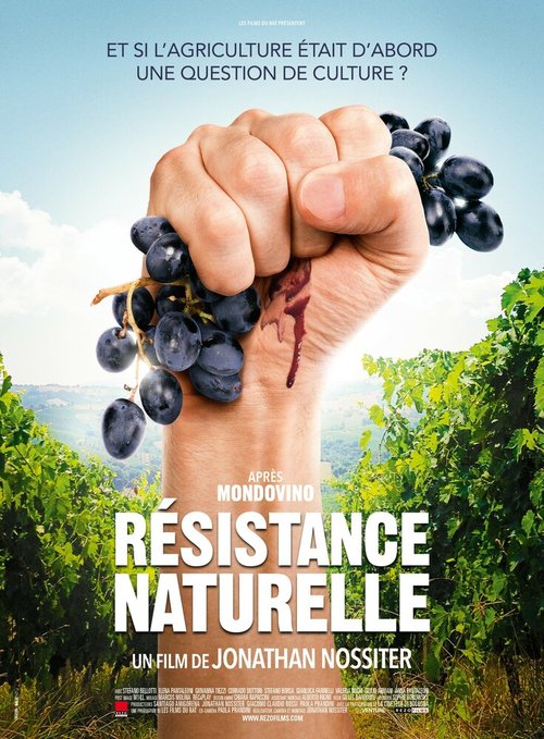 Обложка (Постер) Natural Resistance (2014) HDRip Обложка (Постер) Natural Resistance (2014) HDRip