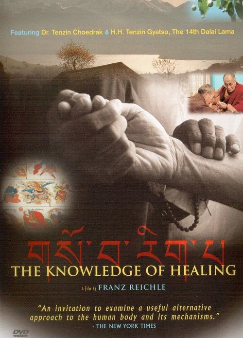 Обложка (Постер) Наука врачевания / Das Wissen vom Heilen (1997) HDRip