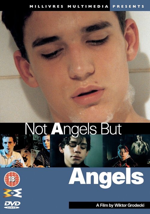Обложка (Постер) Не ангелы, но ангелы / Not Angels But Angels (1994) HDRip