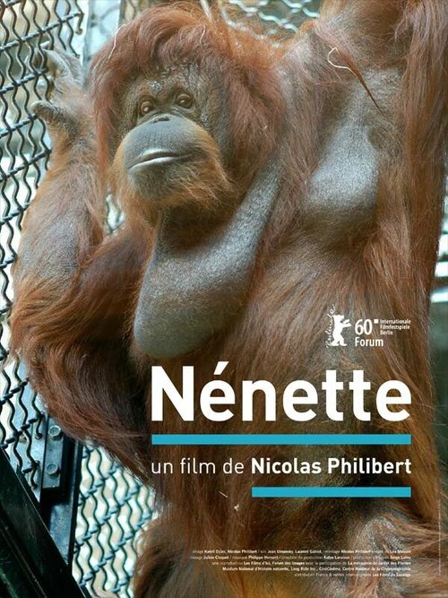 Обложка (Постер) Ненетт / Nénette (2010) HDRip Обложка (Постер) Ненетт / Nénette (2010) HDRip