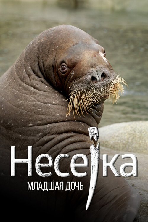 Обложка (Постер) Несейка. Младшая дочь (2018) HDRip