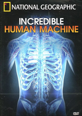 Обложка (Постер) Невероятное тело человека / Incredible Human Machine (2007) HDRip Обложка (Постер) Невероятное тело человека / Incredible Human Machine (2007) HDRip