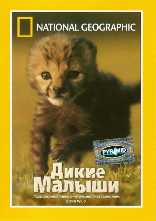 Обложка (Постер) НГО: Дикие малыши / Born Wild (2003) HDRip Обложка (Постер) НГО: Дикие малыши / Born Wild (2003) HDRip