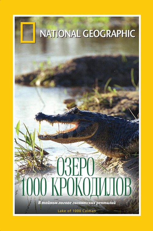 Обложка (Постер) НГО: Озеро 1000 крокодилов / Lake of a Thousand Caiman (2007) HDRip