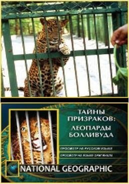 Обложка (Постер) НГО: Тайны призраков: Леопарды Болливуда (2002) Обложка (Постер) НГО: Тайны призраков: Леопарды Болливуда (2002)