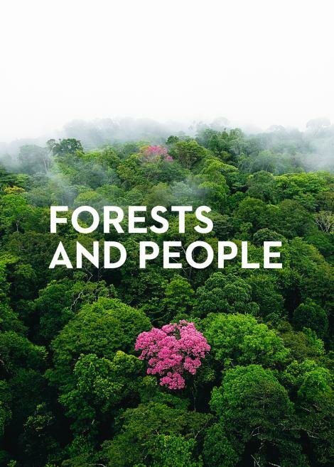 Обложка (Постер) О лесах и людях / Des Forêts et des Hommes (2011) Обложка (Постер) О лесах и людях / Des Forêts et des Hommes (2011)