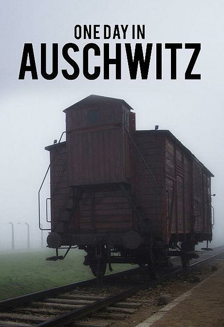 Обложка (Постер) Один день в Освенциме / One Day in Auschwitz (2015) HDRip Обложка (Постер) Один день в Освенциме / One Day in Auschwitz (2015) HDRip