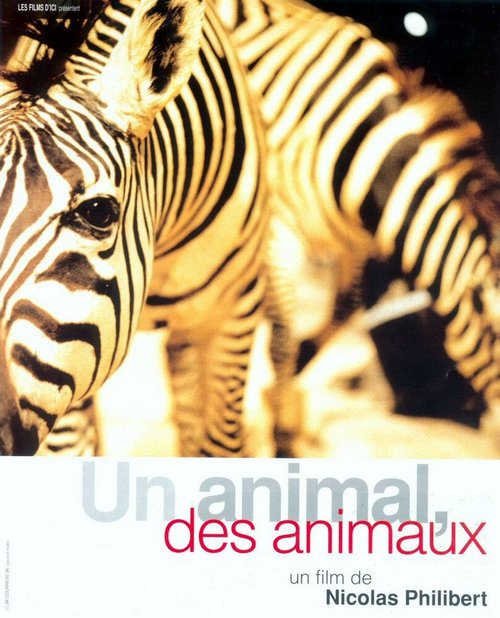 Обложка (Постер) Один зверь, много зверей / Un animal, des animaux (1996) HDRip