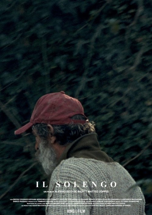 Обложка (Постер) Одинокий дикий кабан / Il solengo (2015) HDRip Обложка (Постер) Одинокий дикий кабан / Il solengo (2015) HDRip