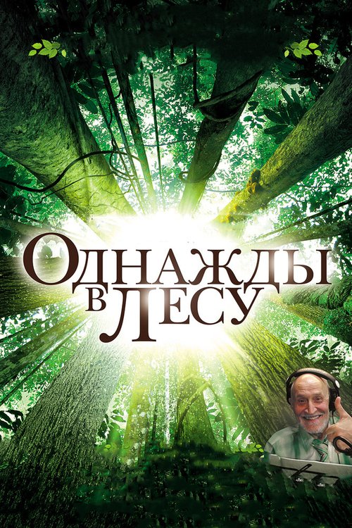 Обложка (Постер) Однажды в лесу / Once in the Forest (2013) HDRip Обложка (Постер) Однажды в лесу / Once in the Forest (2013) HDRip