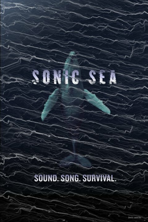 Обложка (Постер) Оглушающий океан / Sonic Sea (2016) CAMRip Обложка (Постер) Оглушающий океан / Sonic Sea (2016) CAMRip
