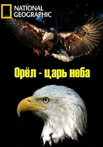Обложка (Постер) Орёл — царь неба / The Eagles (2014) HDRip Обложка (Постер) Орёл — царь неба / The Eagles (2014) HDRip