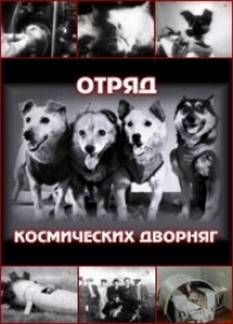 Обложка (Постер) Отряд космических дворняг (2004) HDRip Обложка (Постер) Отряд космических дворняг (2004) HDRip