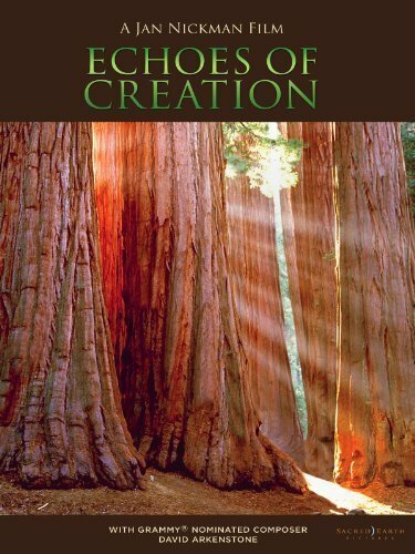 Обложка (Постер) Отзвуки творения / Echoes of Creation (2010) HDRip Обложка (Постер) Отзвуки творения / Echoes of Creation (2010) HDRip