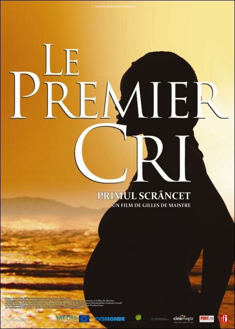 Обложка (Постер) Первый плач / Le premier cri (2007) HDRip Обложка (Постер) Первый плач / Le premier cri (2007) HDRip