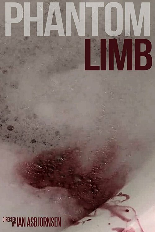 Обложка (Постер) Phantom Limb (2005) HDRip Обложка (Постер) Phantom Limb (2005) HDRip