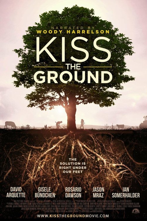 Обложка (Постер) Поцелуй Землю / Kiss the Ground (2020) HDRip
