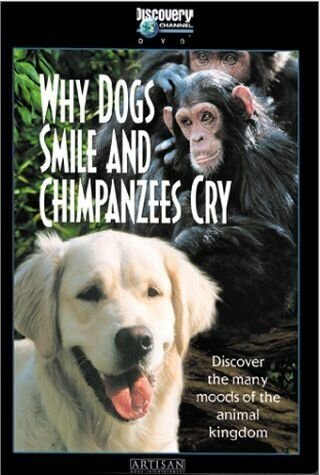Обложка (Постер) Почему собаки улыбаются и шимпанзе плачут / Why Dogs Smile & Chimpanzees Cry (1999) HDRip