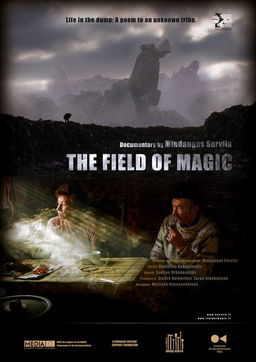 Обложка (Постер) Поле чудес / The Field of Magic (2011) HDRip Обложка (Постер) Поле чудес / The Field of Magic (2011) HDRip