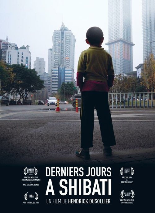 Обложка (Постер) Последние дни в Шибати / Derniers jours à Shibati (2017) HDRip