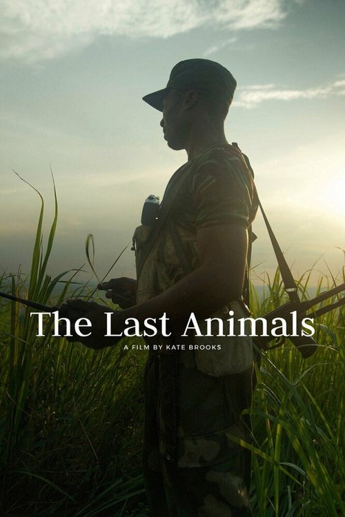 Обложка (Постер) Последние животные / The Last Animals (2017) HDRip