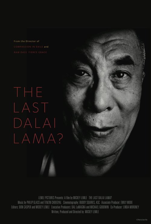 Обложка (Постер) Последний Далай-лама? / The Last Dalai Lama? (2016) CAMRip Обложка (Постер) Последний Далай-лама? / The Last Dalai Lama? (2016) CAMRip