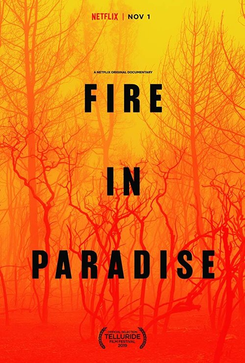 Обложка (Постер) Пожар в раю / Fire in Paradise (2019) HDRip