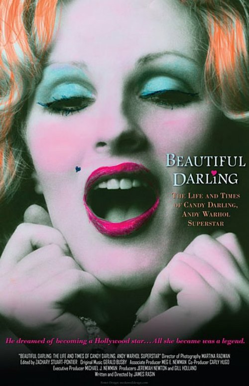 Обложка (Постер) Прекрасная Дарлинг / Beautiful Darling (2010) HDRip Обложка (Постер) Прекрасная Дарлинг / Beautiful Darling (2010) HDRip