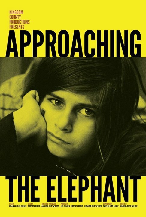 Обложка (Постер) Приближаясь к слону / Approaching the Elephant (2014) HDRip